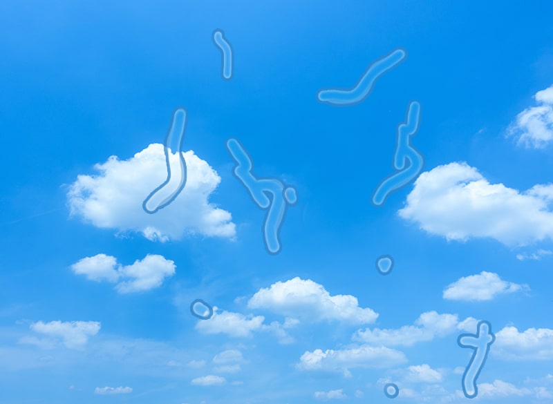 その他の網膜硝子体疾患